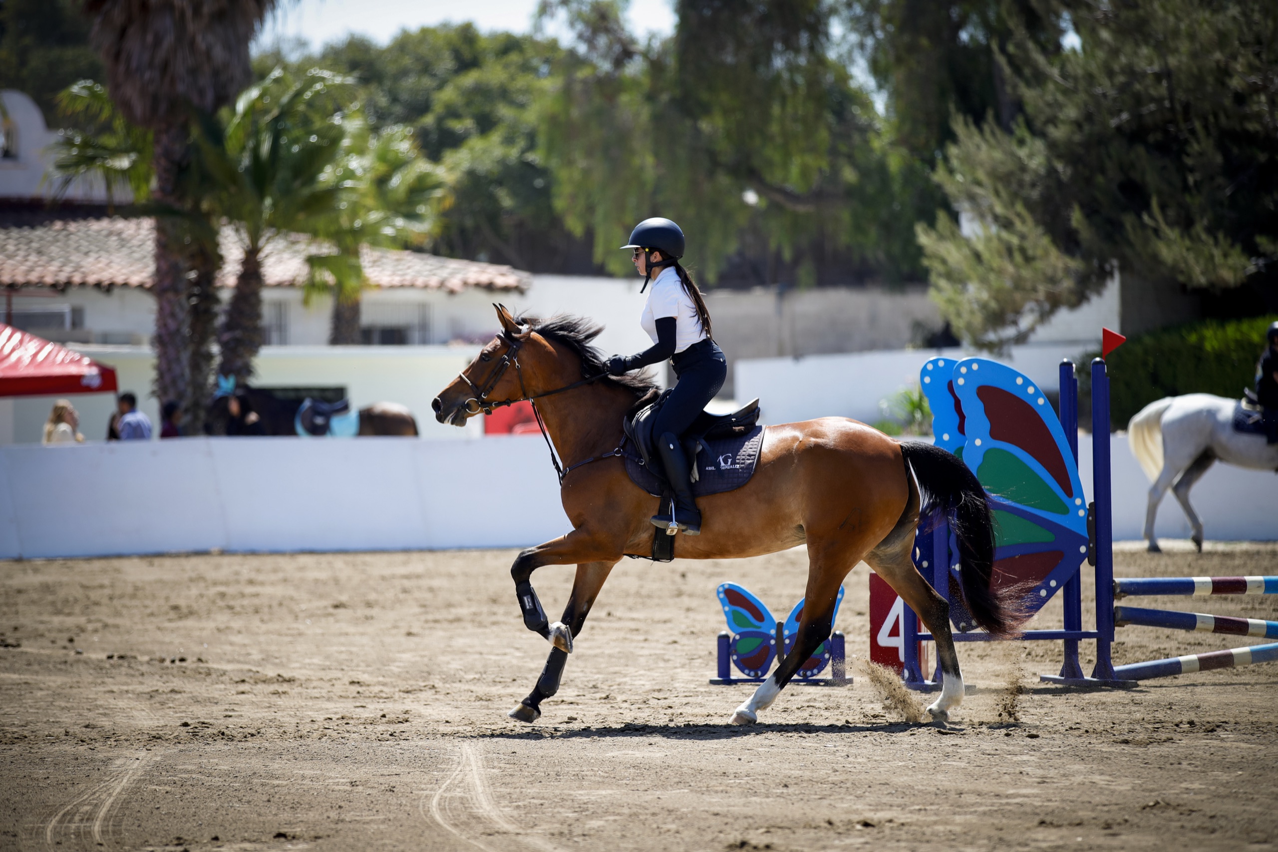 CLASICO INTERNACIONAL CALIENTE JOCKEY CLUB 2026