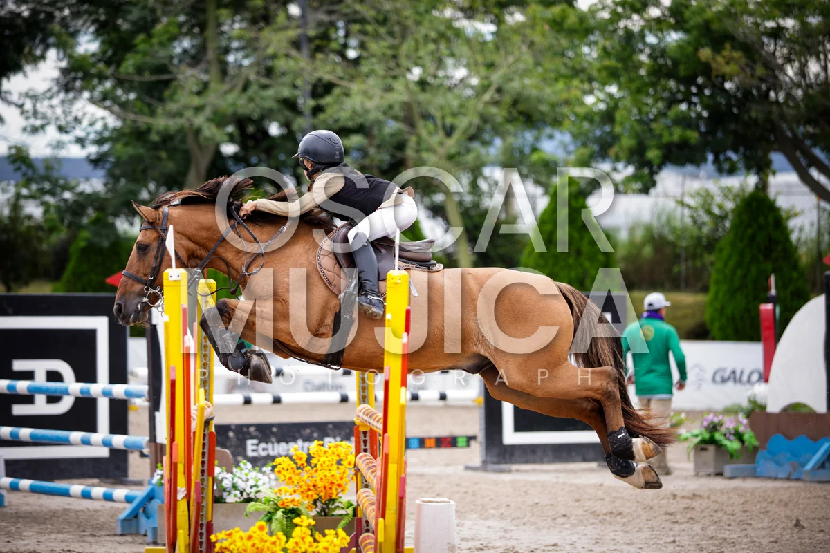 Foto de AI LANE GHISLAINE