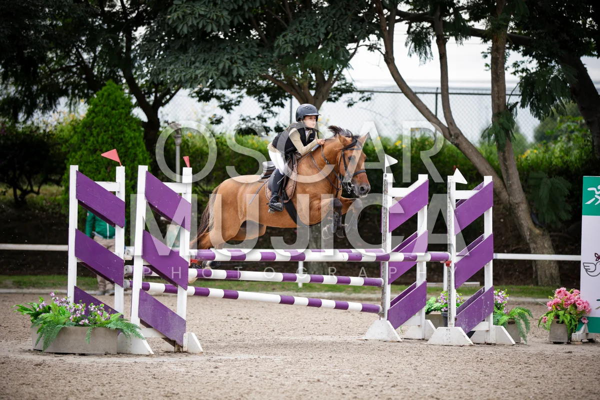 Foto de AI LANE GHISLAINE