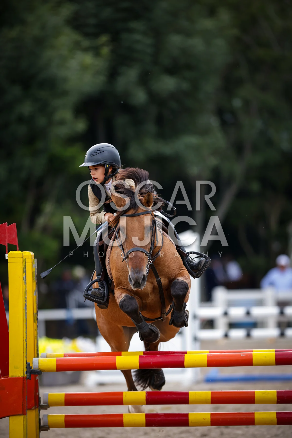 Foto de AI LANE GHISLAINE