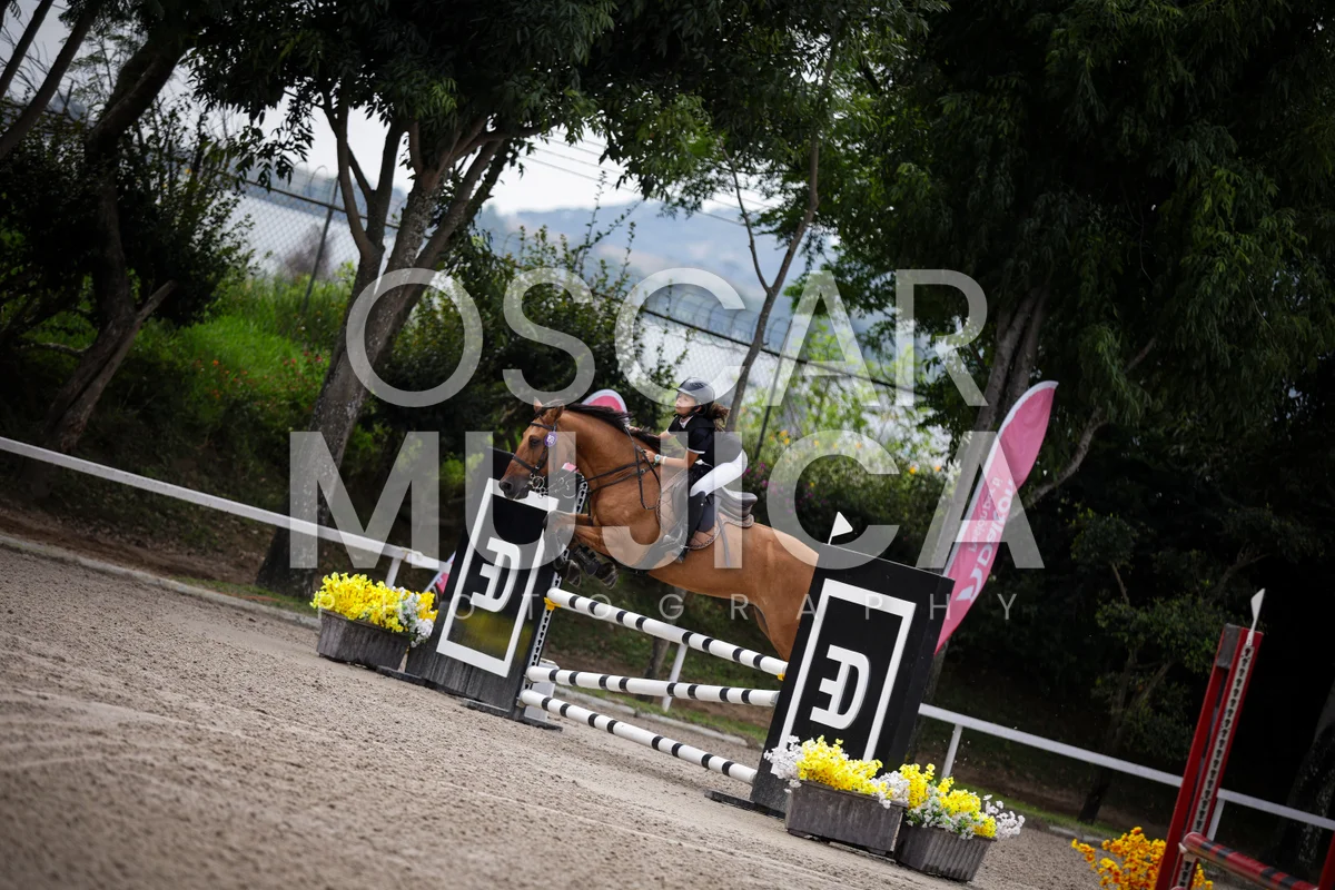 Foto de AI LANE GHISLAINE