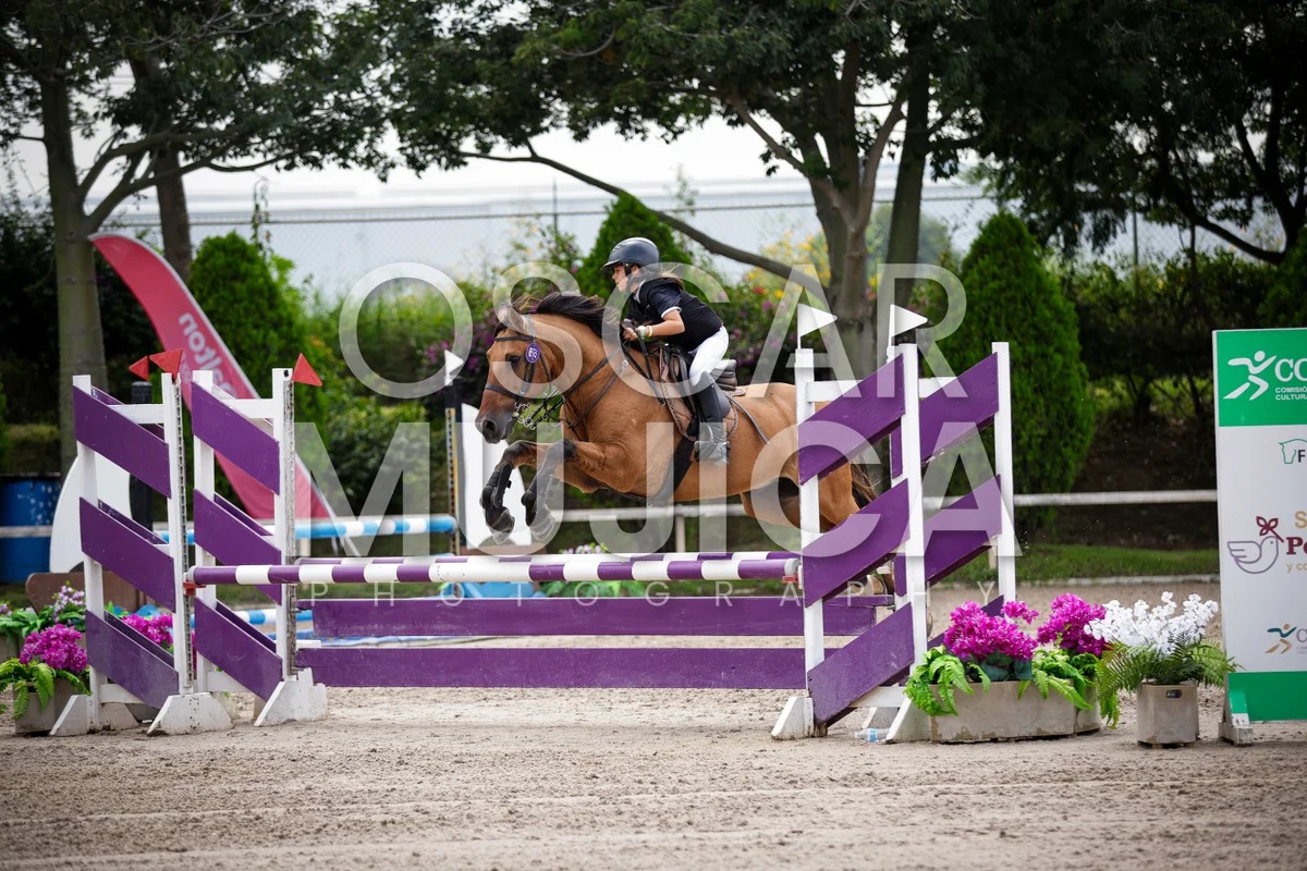 Foto de AI LANE GHISLAINE