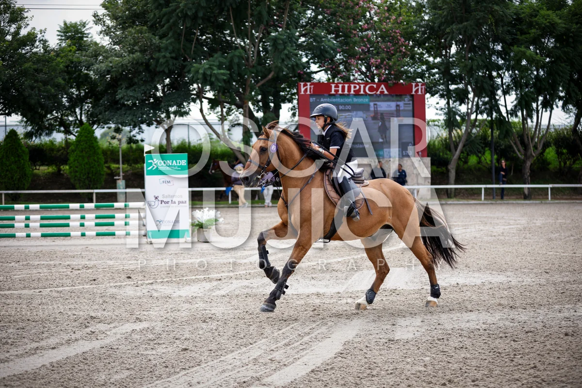 Foto de AI LANE GHISLAINE