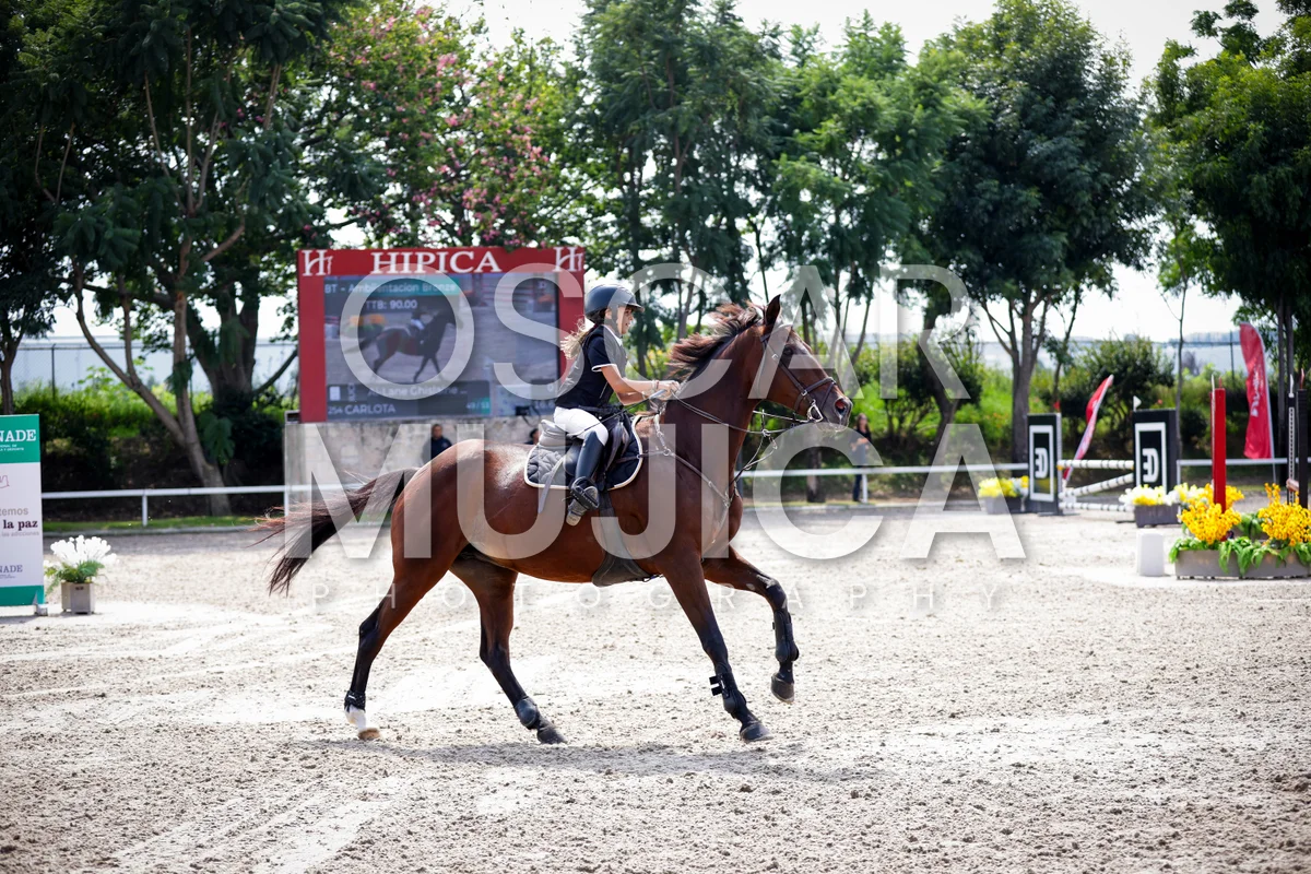 Foto de AI LANE GHISLAINE
