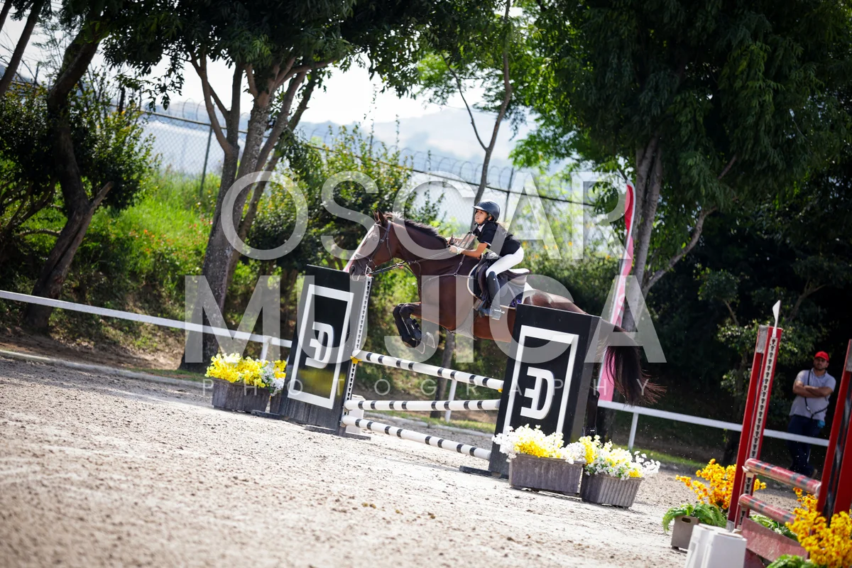 Foto de AI LANE GHISLAINE