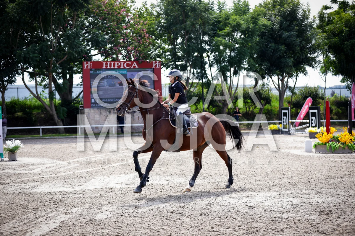 Foto de AI LANE GHISLAINE