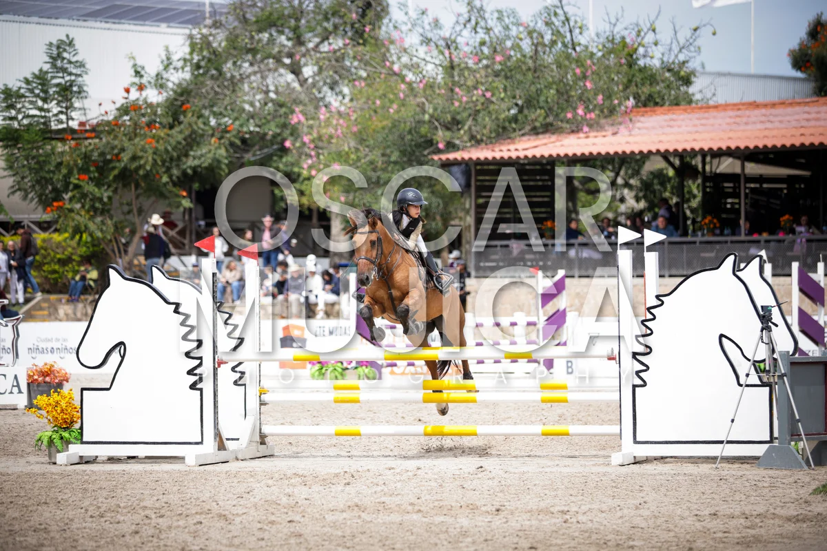 Foto de AI LANE GHISLAINE
