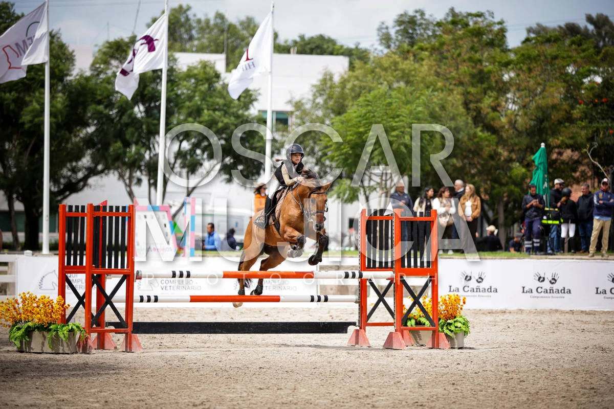 Foto de AI LANE GHISLAINE