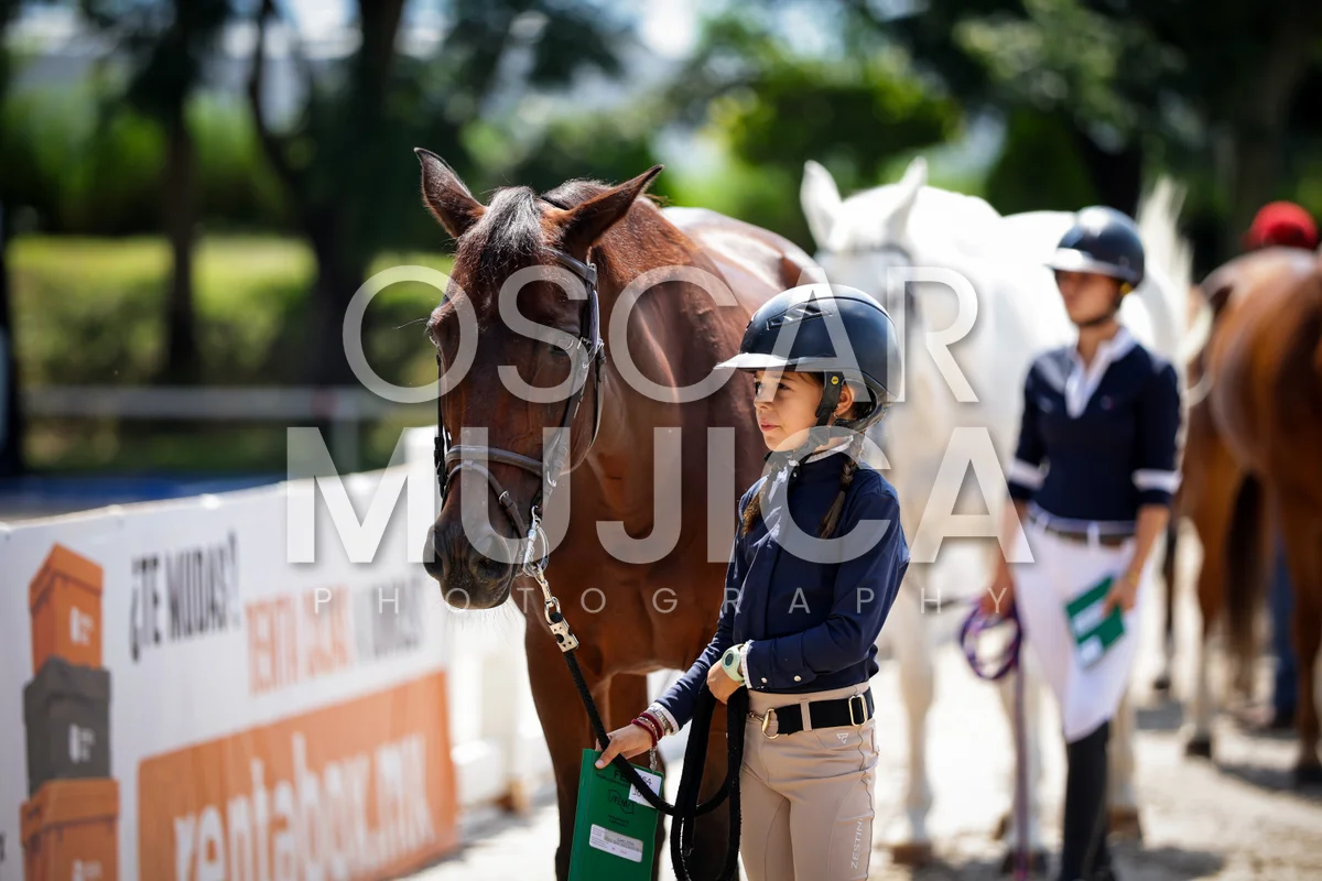 Foto de AI LANE GHISLAINE