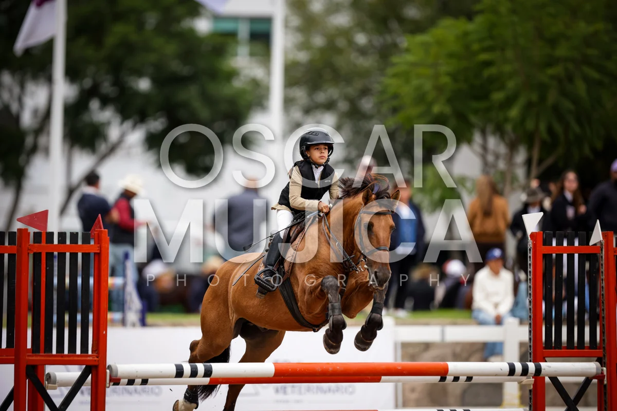 Foto de AI LANE GHISLAINE