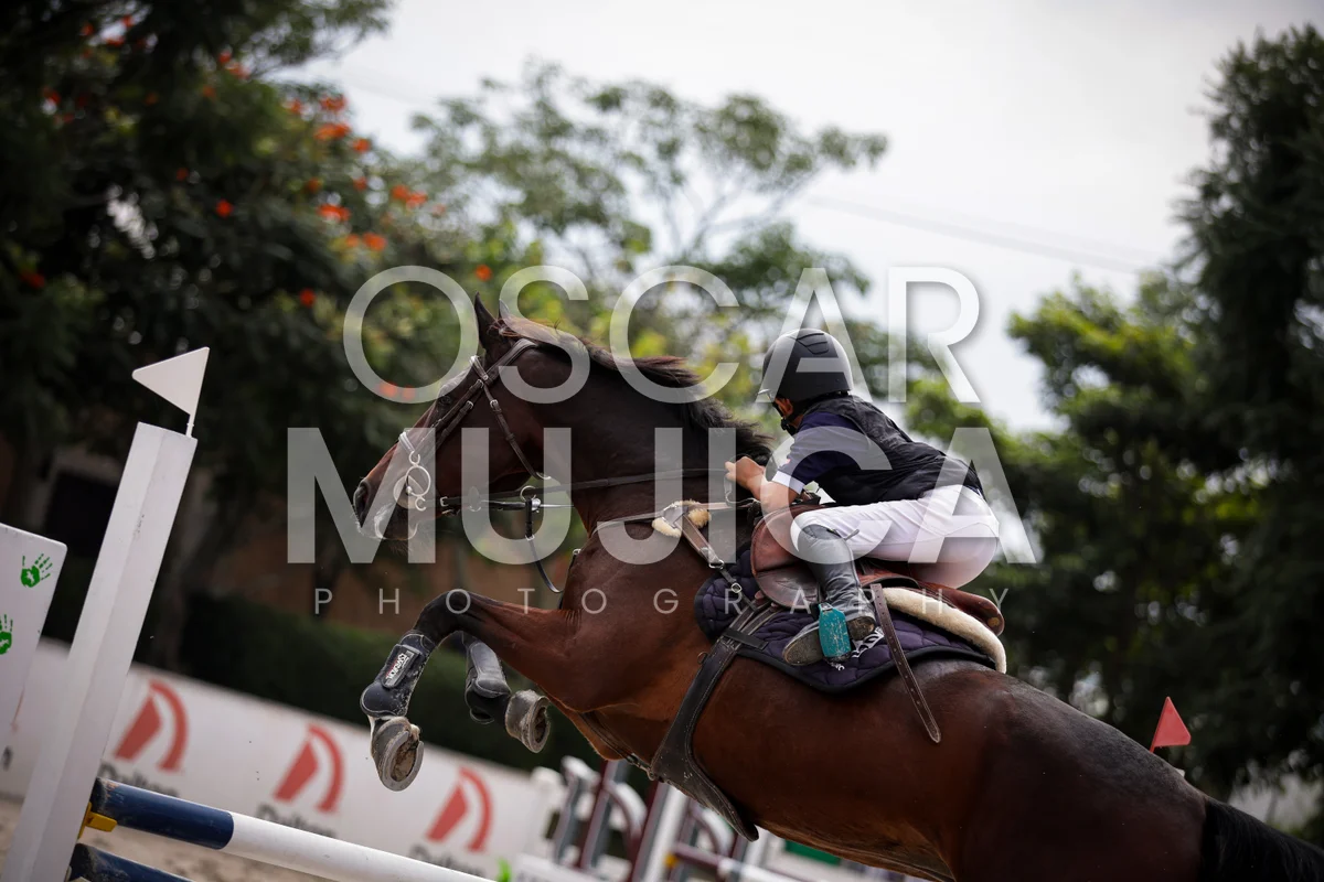 Foto de ALEJANDRO VAZQUEZ