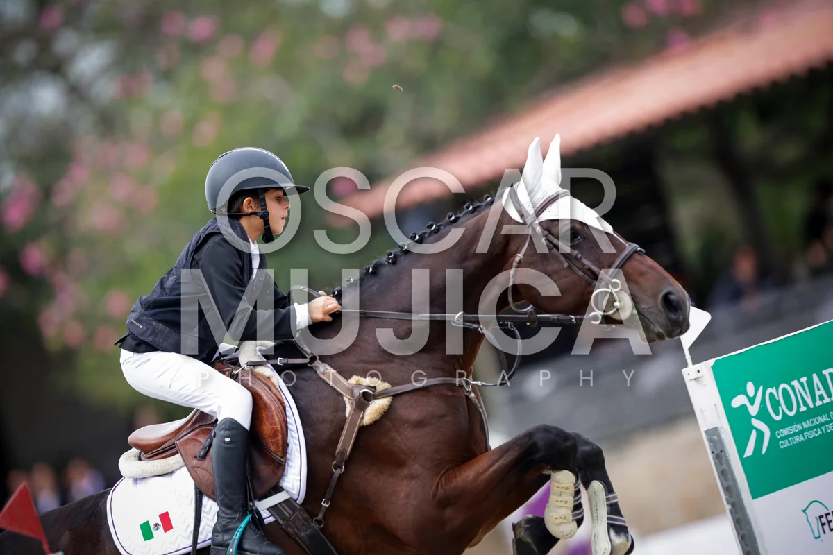 ALEJANDRO VAZQUEZ