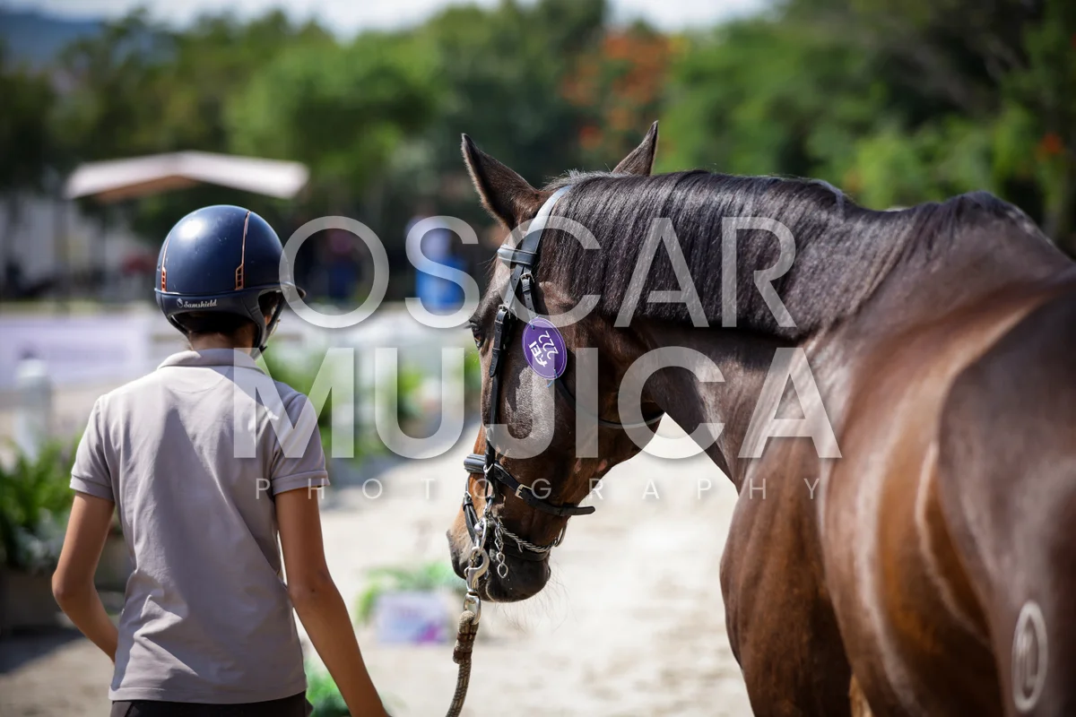 Foto de ANA LUCIA ANGUIANO