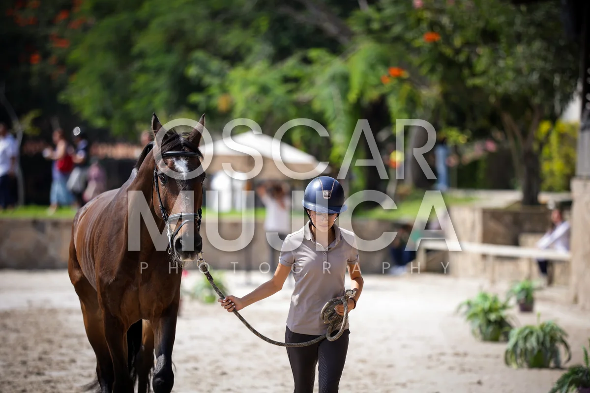 Foto de ANA LUCIA ANGUIANO