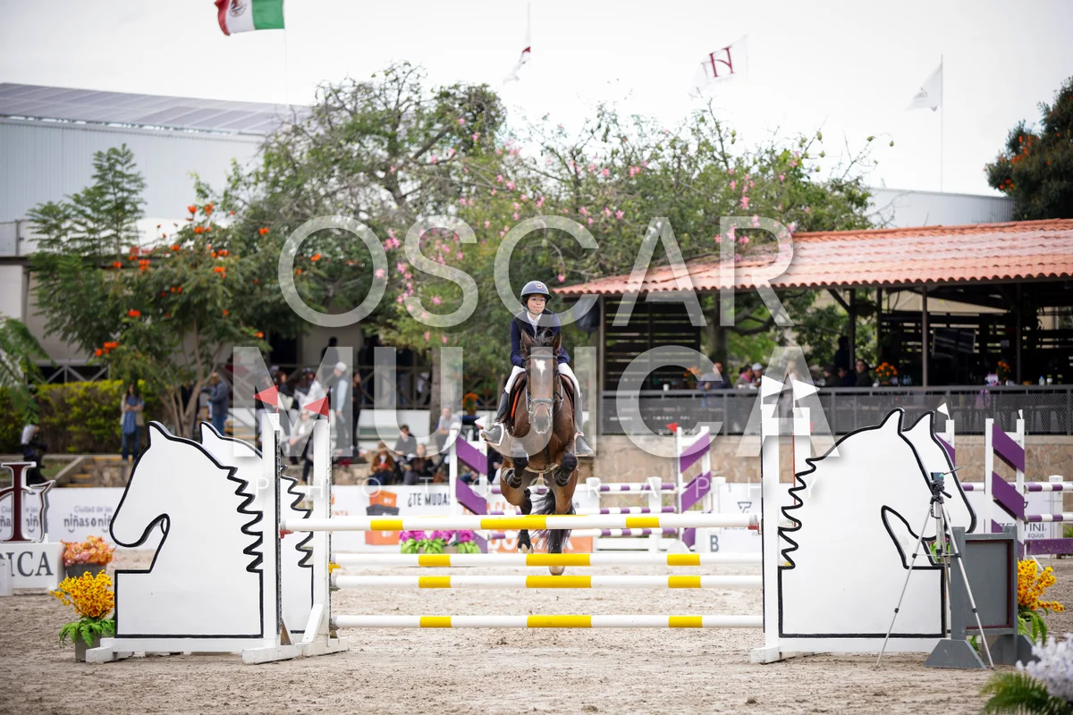 Foto de ANA LUCIA ANGUIANO