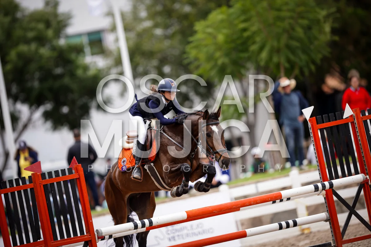 Foto de ANA LUCIA ANGUIANO