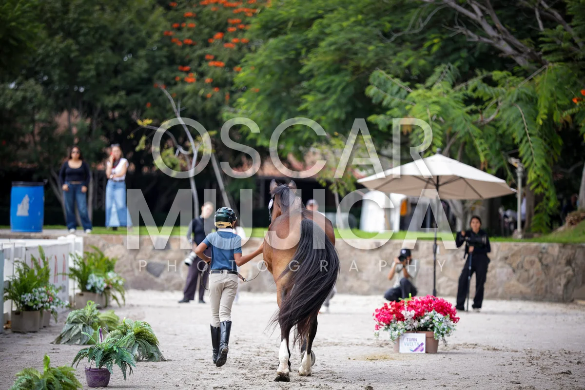 Foto de ANTOINE TRUJILLO