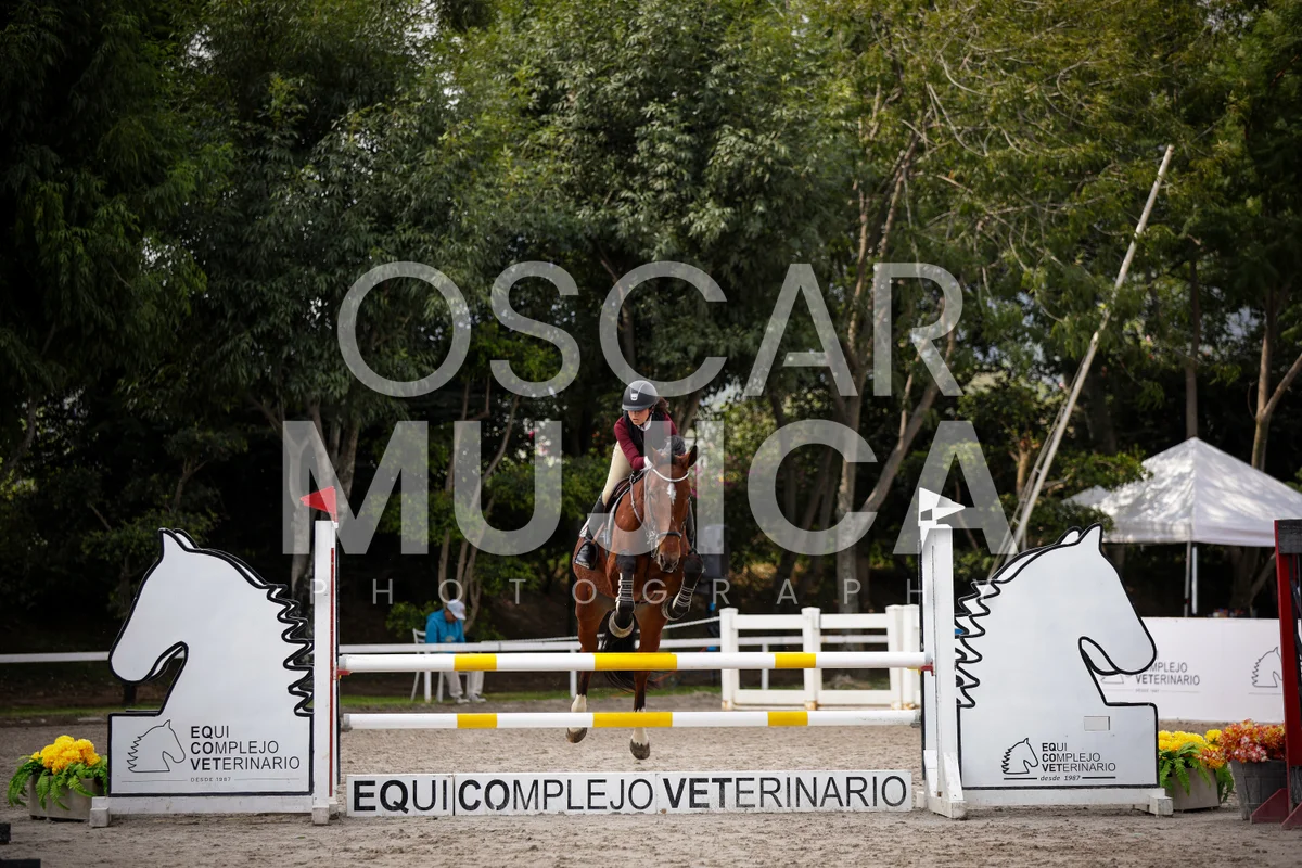 Foto de ANTONELLA ACEVES