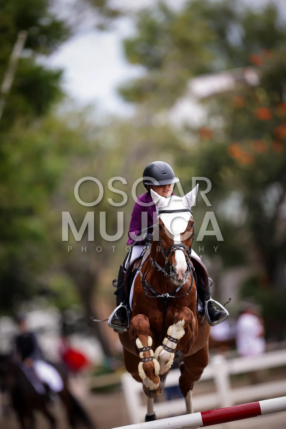 Foto de AYLEEN ARREOLA