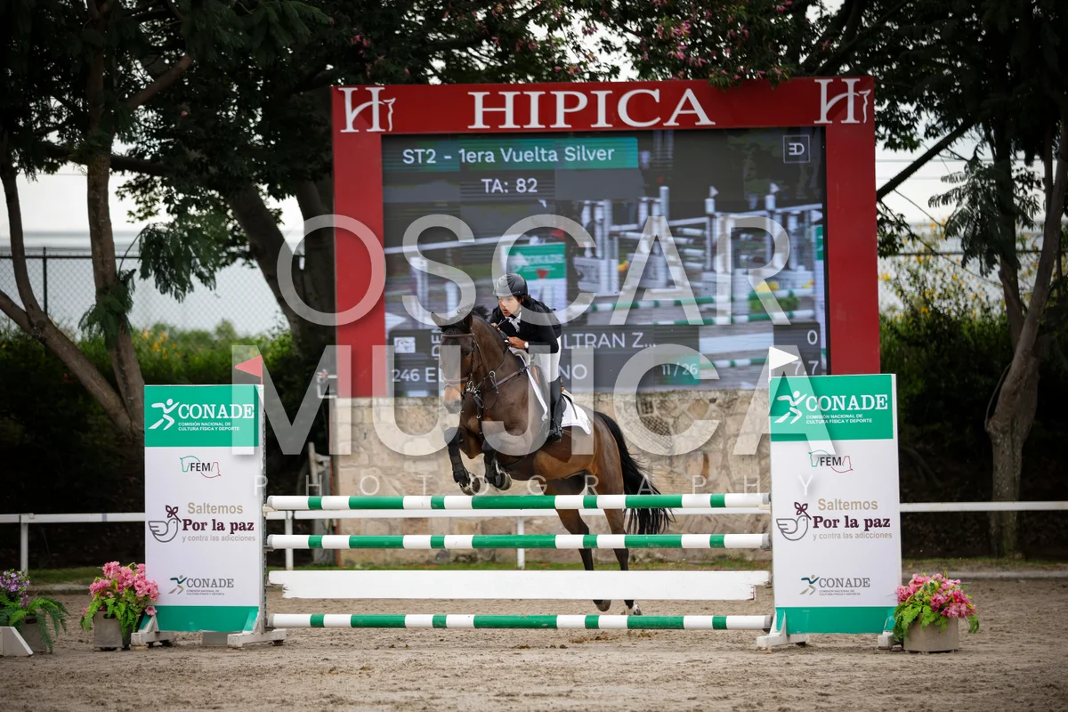 Foto de BRUNO BELTRAN