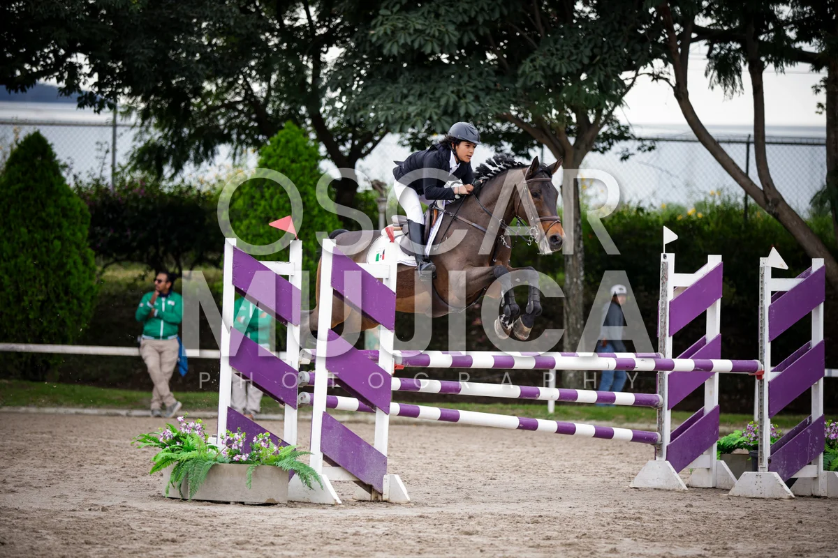 Foto de BRUNO BELTRAN