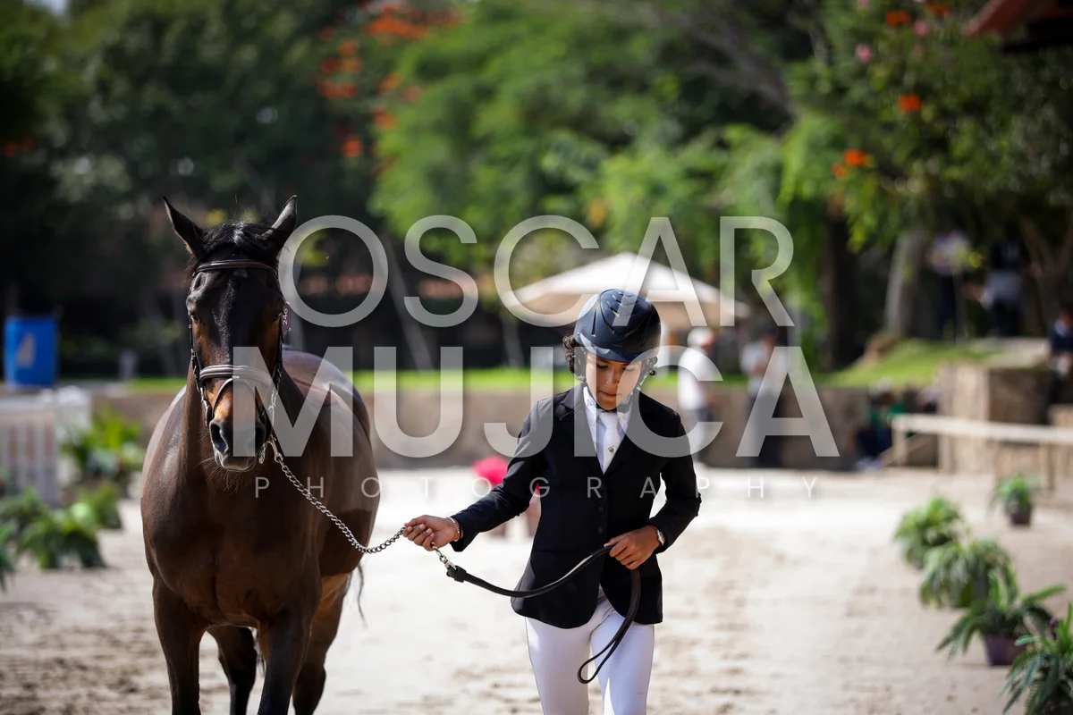Foto de BRUNO BELTRAN