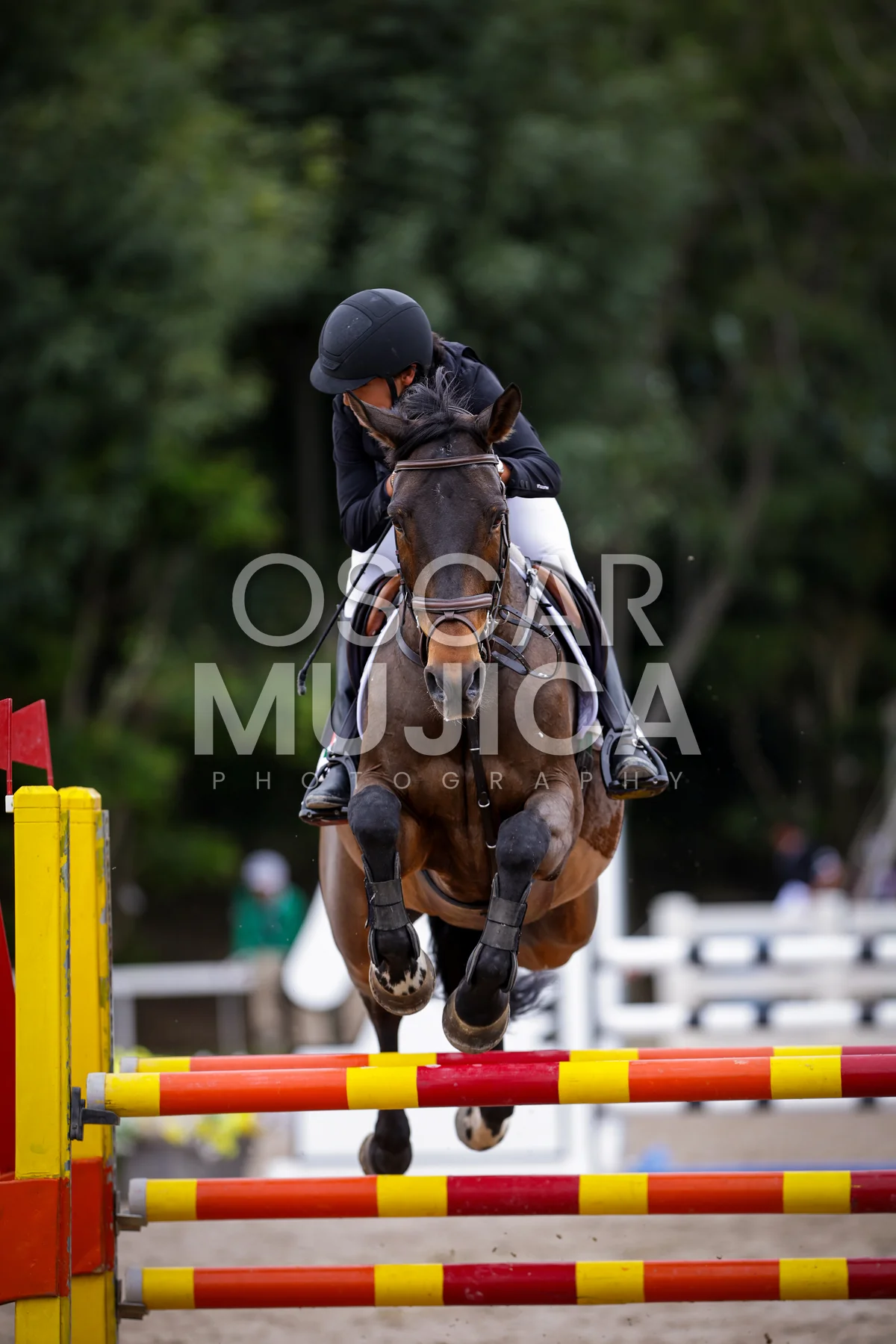 Foto de BRUNO BELTRAN