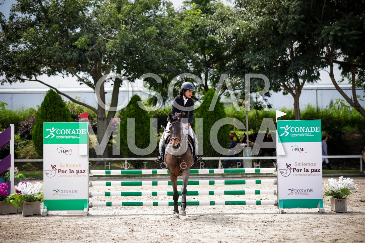 Foto de BRUNO BELTRAN