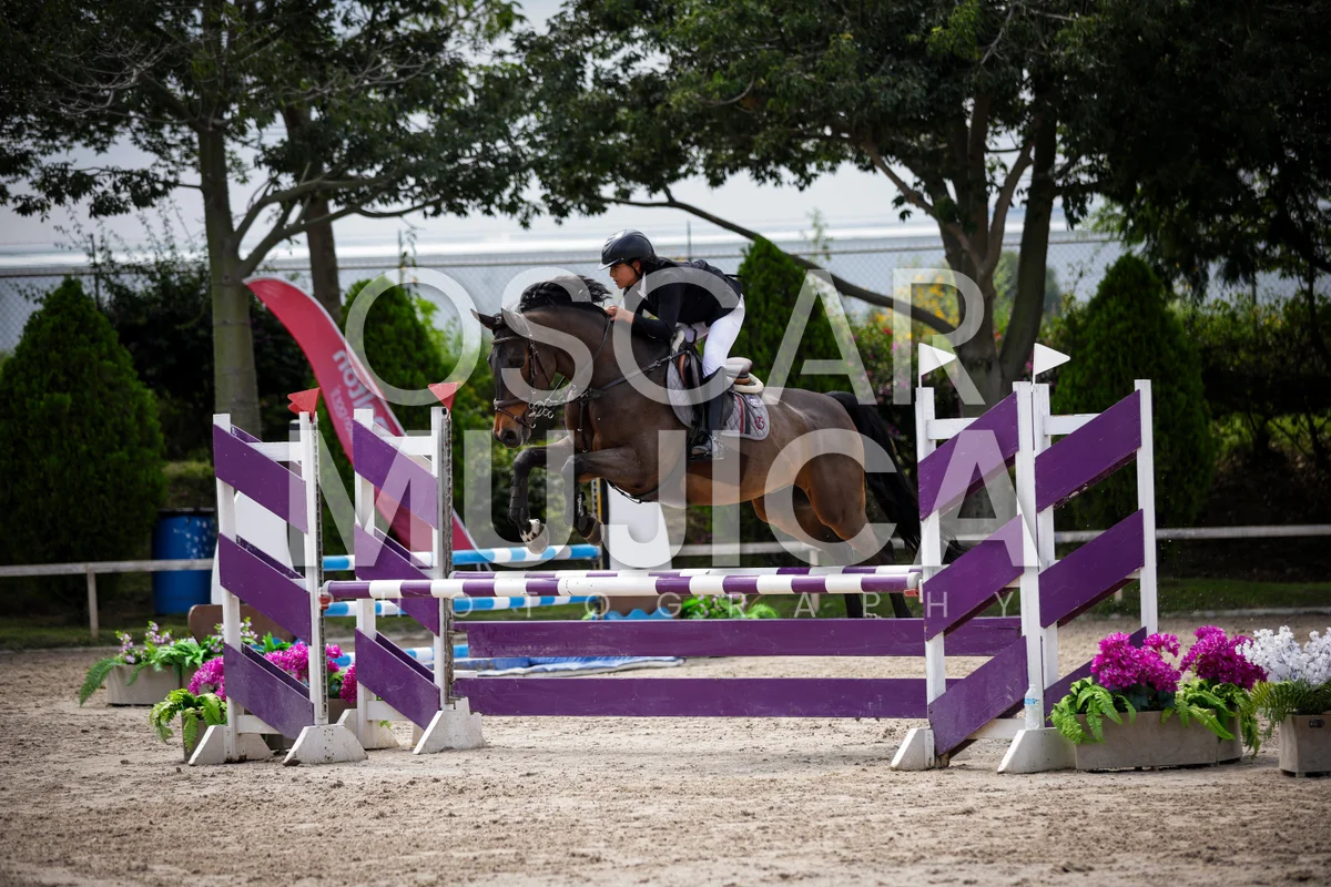 Foto de BRUNO BELTRAN