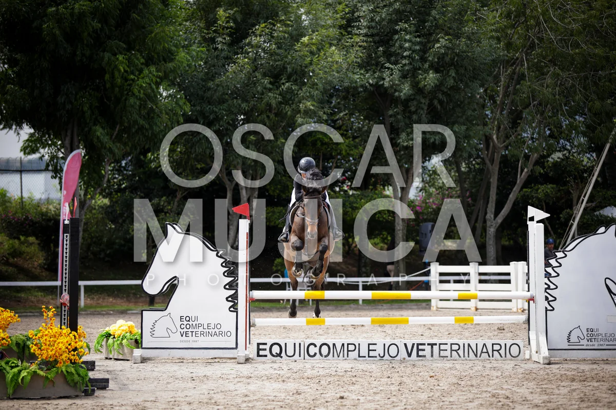 Foto de BRUNO BELTRAN