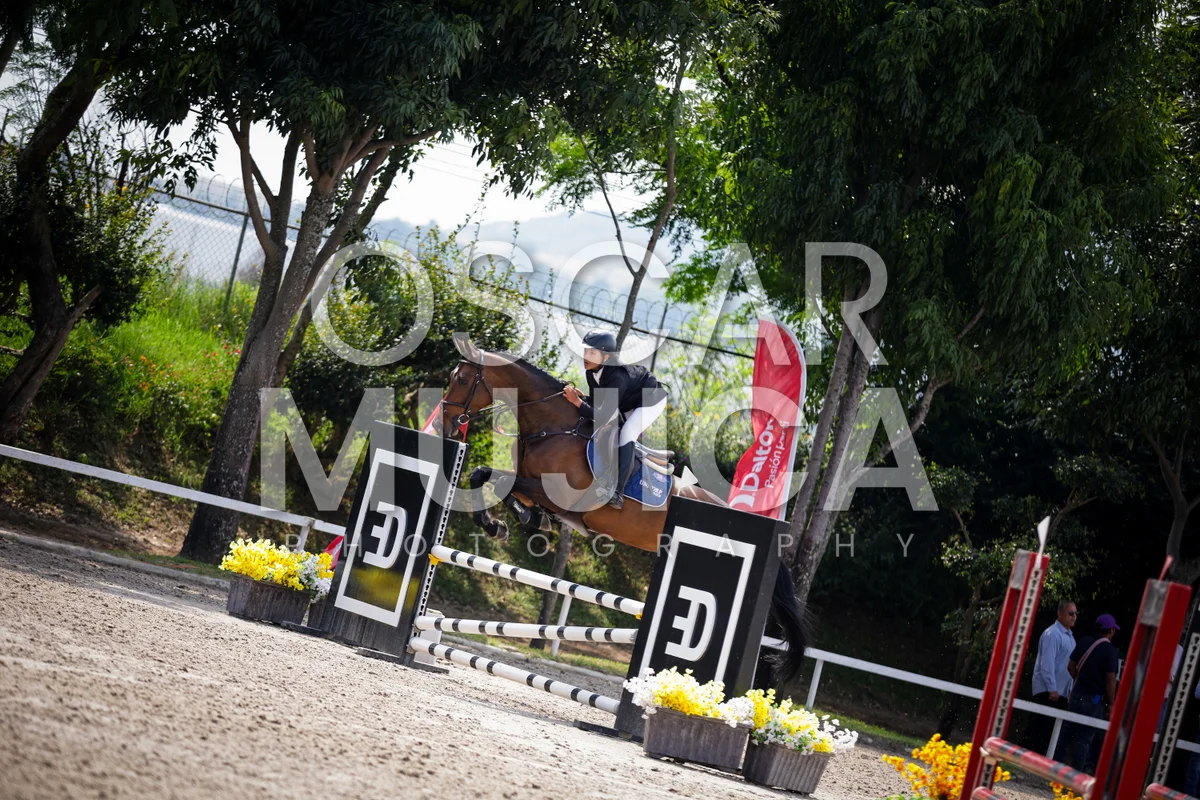 Foto de BRUNO BELTRAN