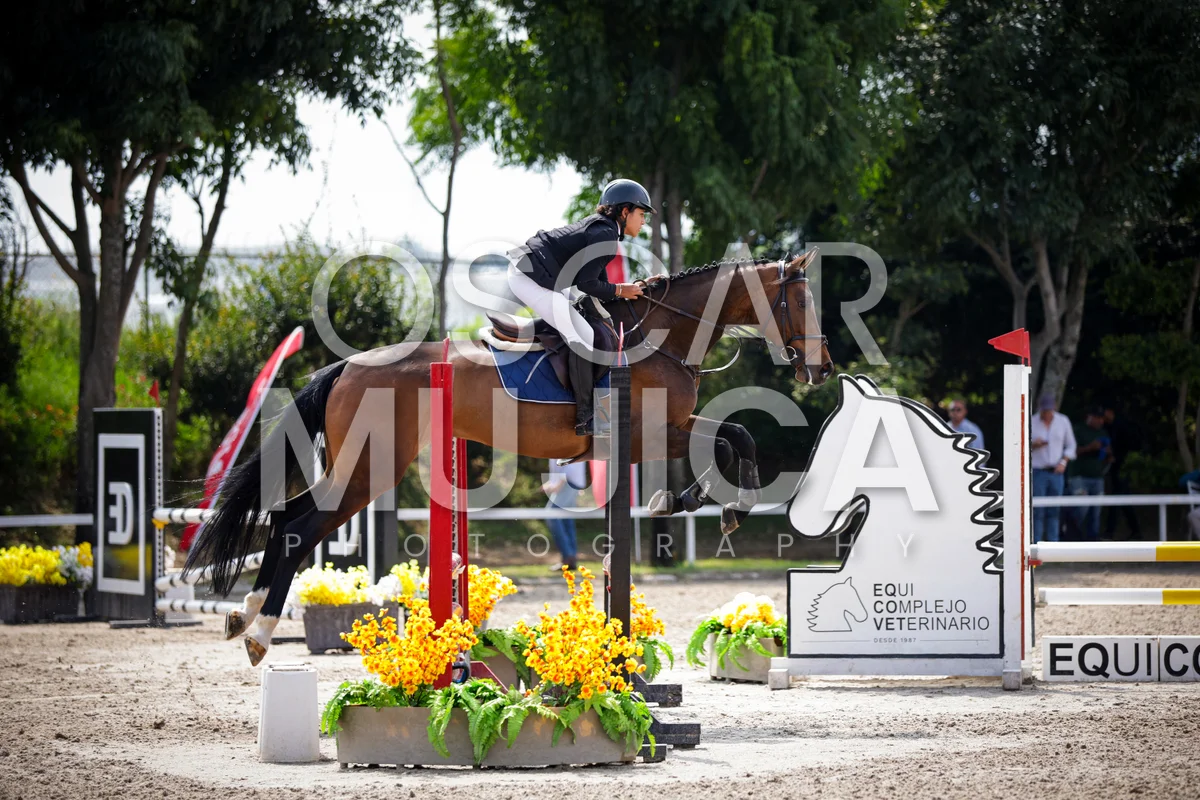 Foto de BRUNO BELTRAN