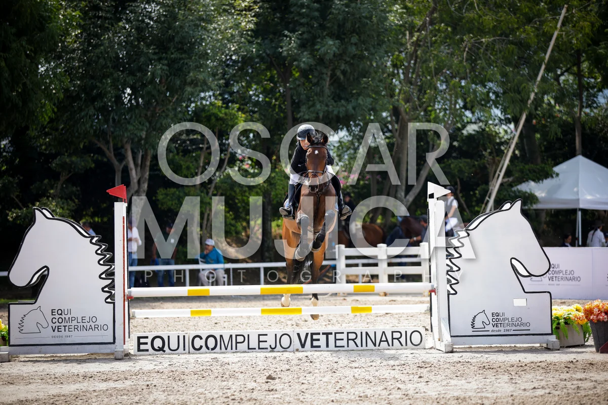 Foto de BRUNO BELTRAN