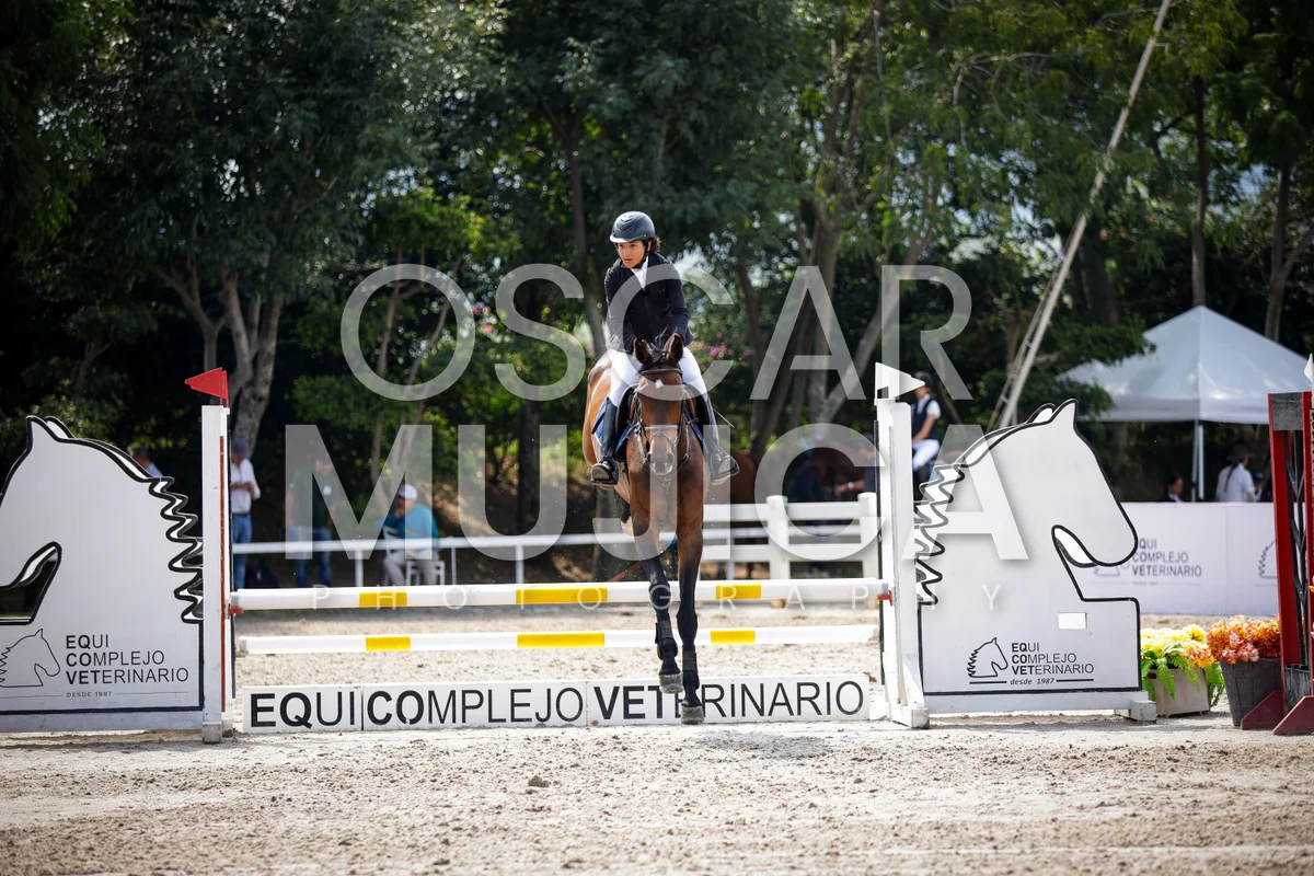 Foto de BRUNO BELTRAN