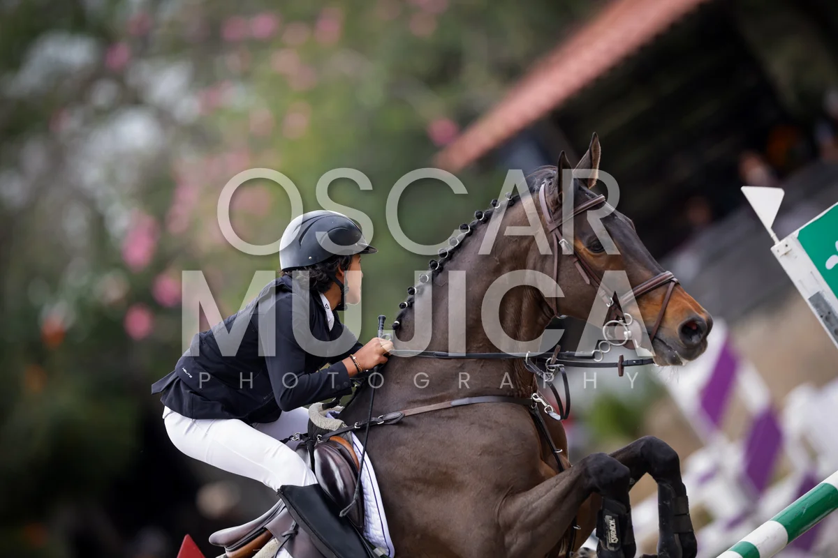 Foto de BRUNO BELTRAN