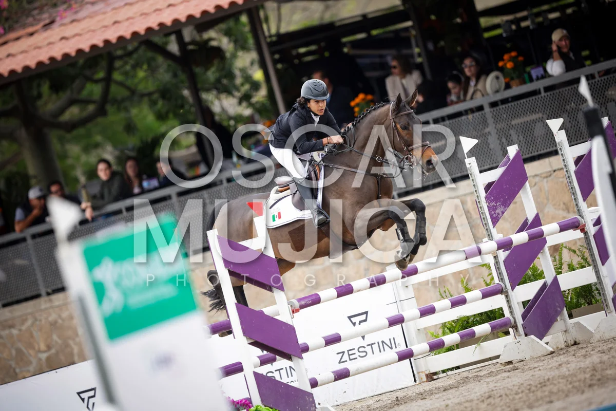 Foto de BRUNO BELTRAN