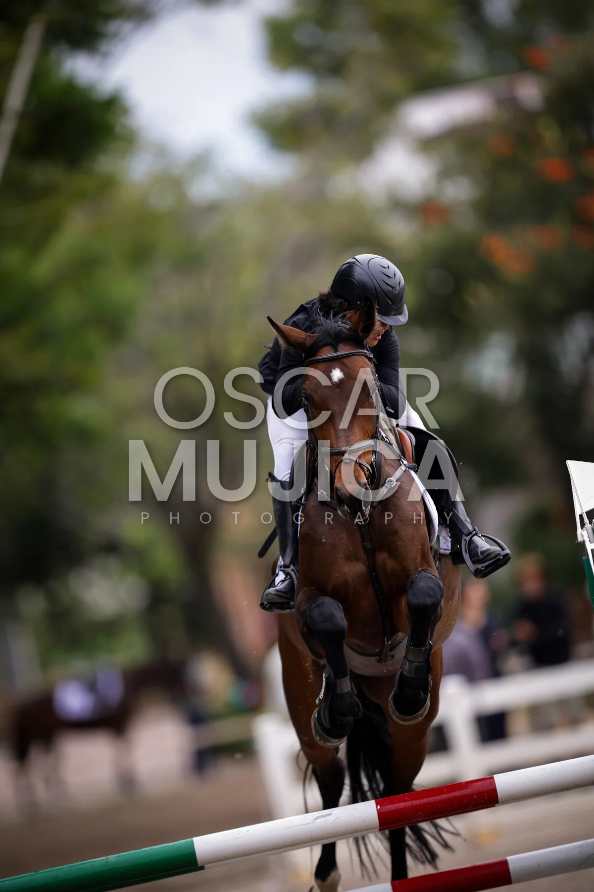 Foto de BRUNO BELTRAN