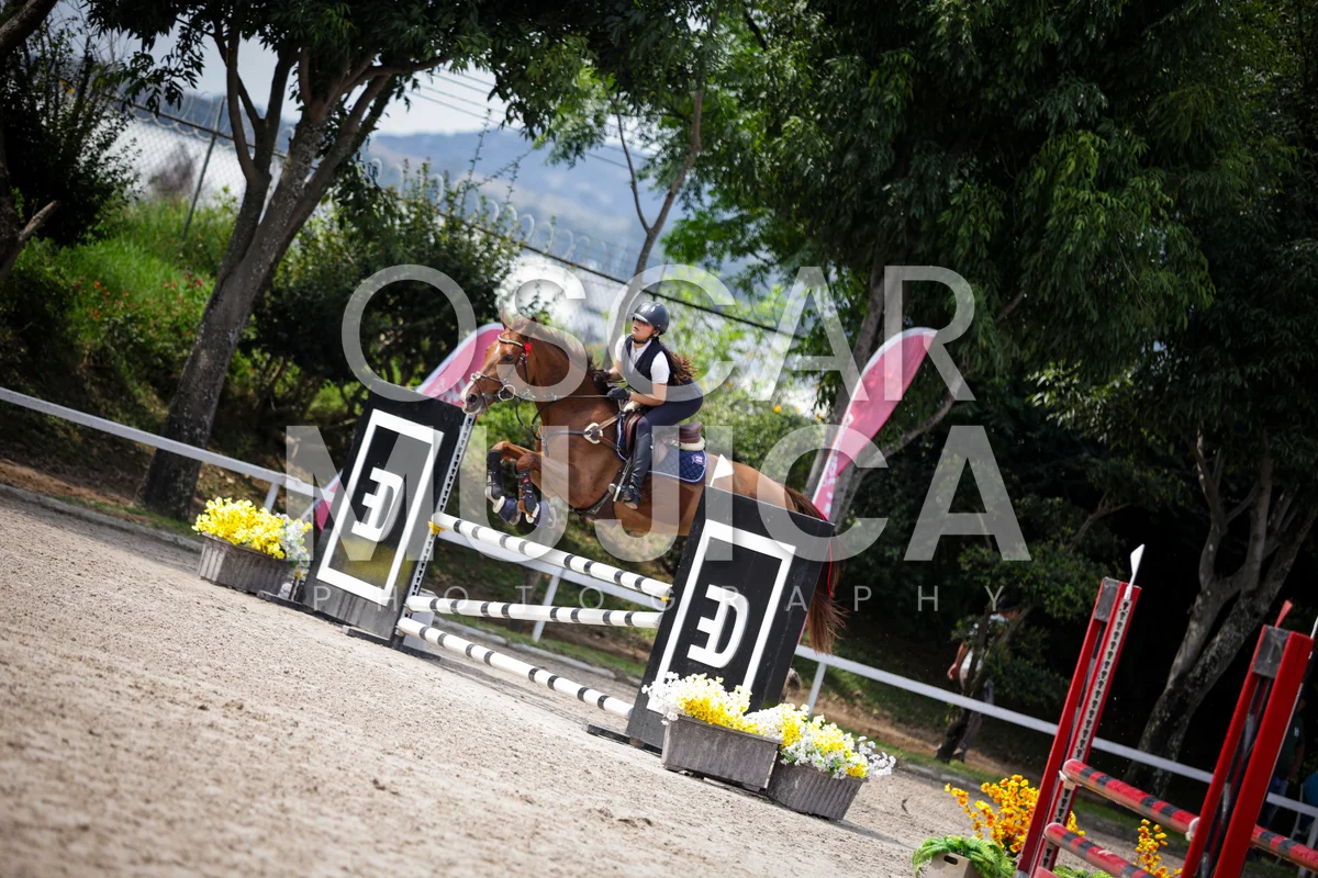 Foto de CHIARA ZOLA
