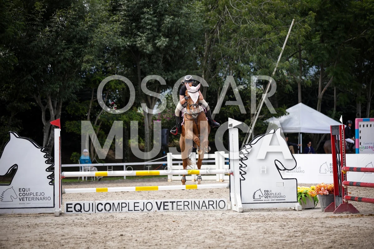 Foto de DAYLA RACHELL ZAMUDIO