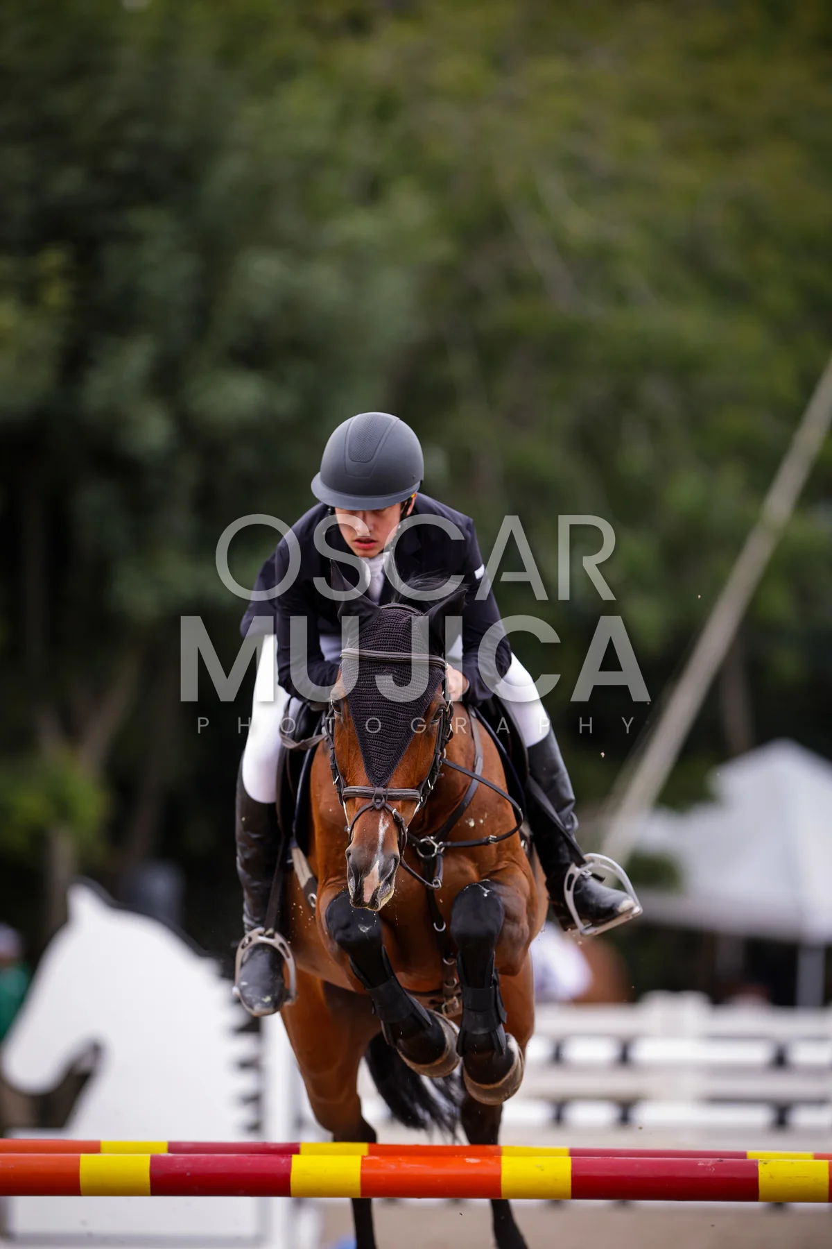 Foto de DIEGO FAVELA