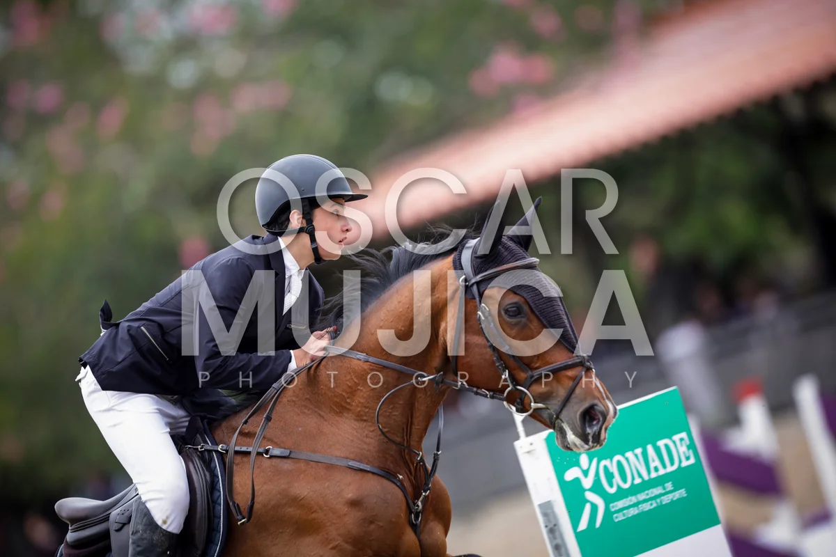 Foto de DIEGO FAVELA