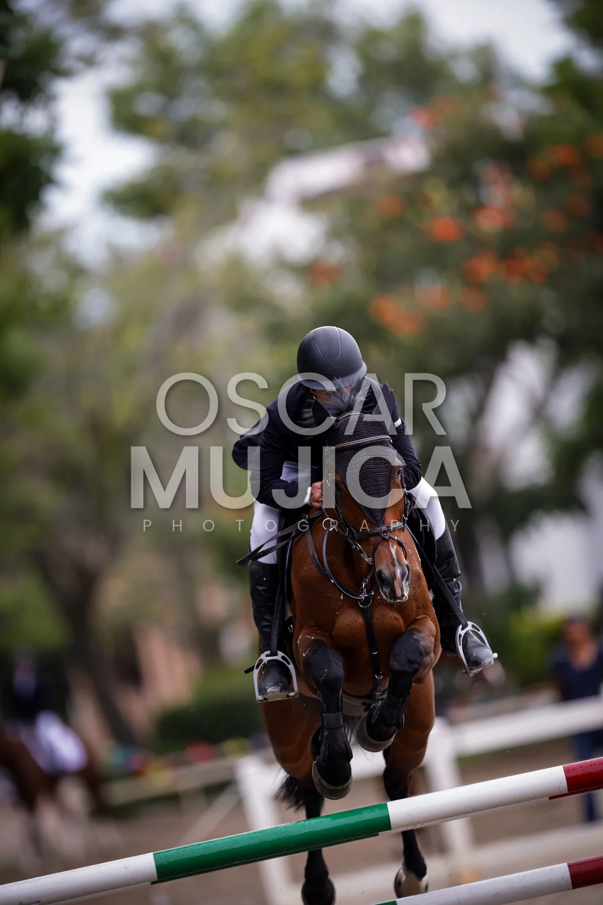 Foto de DIEGO FAVELA