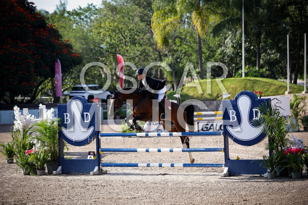 Foto de ERICK GURIDI