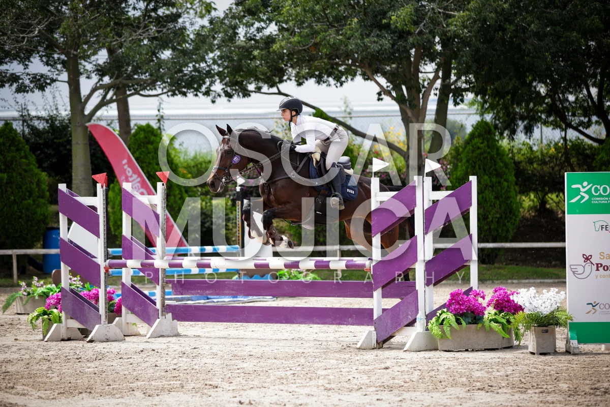 Foto de ERIKA ISABELLA SANDOVAL