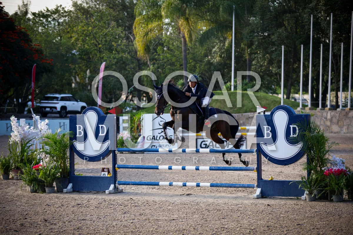 Foto de ERNESTO ALCOCER