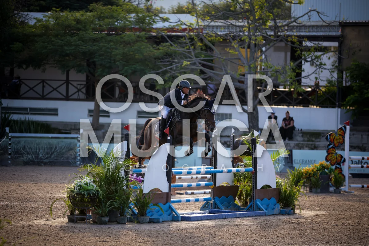 Foto de ERNESTO ALCOCER