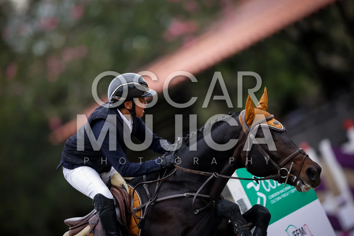 Foto de FERNANDO GUERRERO