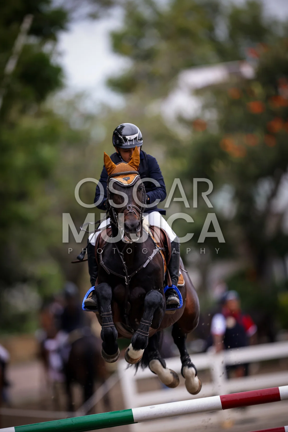 Foto de FERNANDO GUERRERO