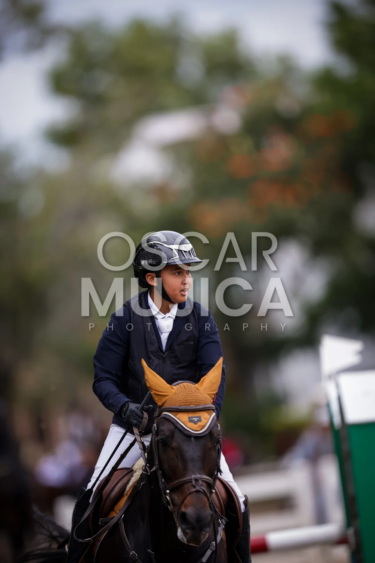 Foto de FERNANDO GUERRERO