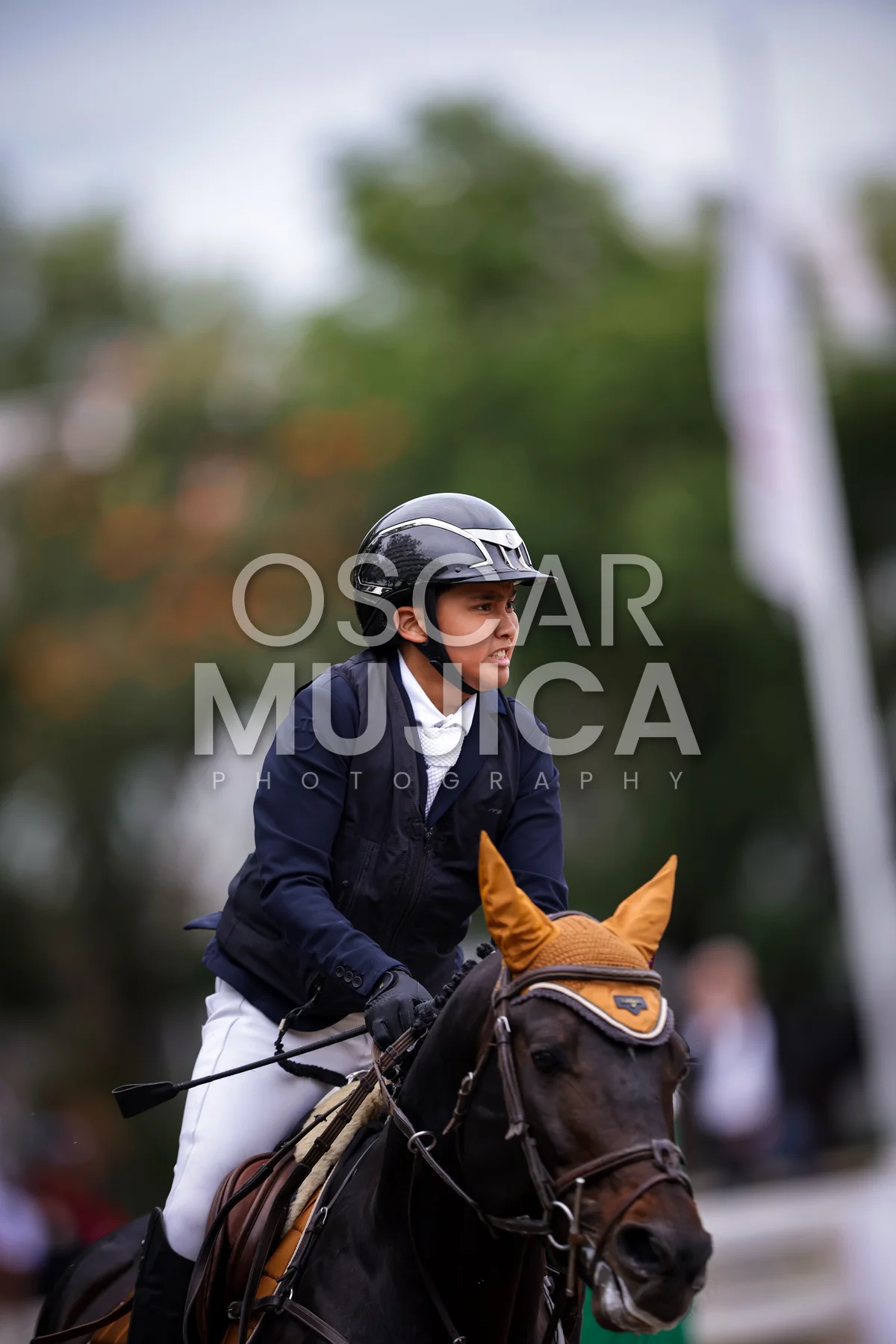Foto de FERNANDO GUERRERO